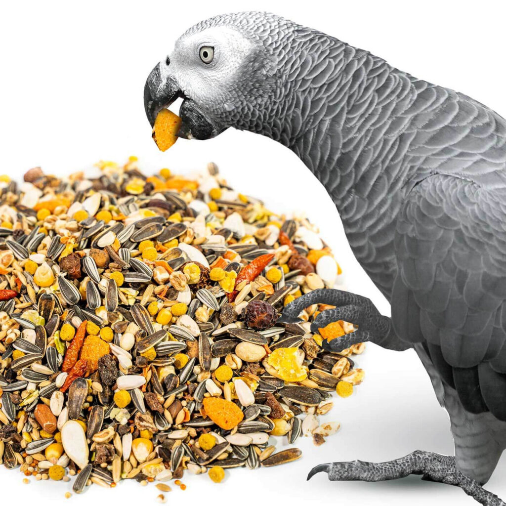 African-Grey-Parrot-Food-Premium-Seed-Mix-1Kg-2Kg-5-54400102__90985