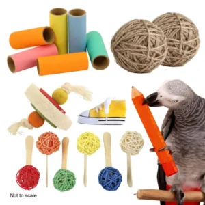Reduced Northern Parrot Chewable Foot Toy Parrot Toy Kit