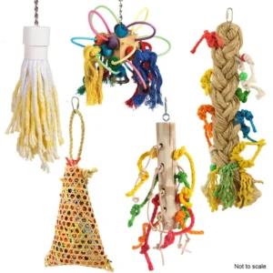 Northern Parrots Preening Parrot Toys Bundle